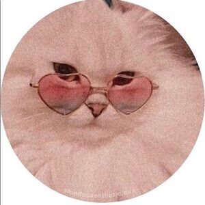 Meet your Posher, Lydia